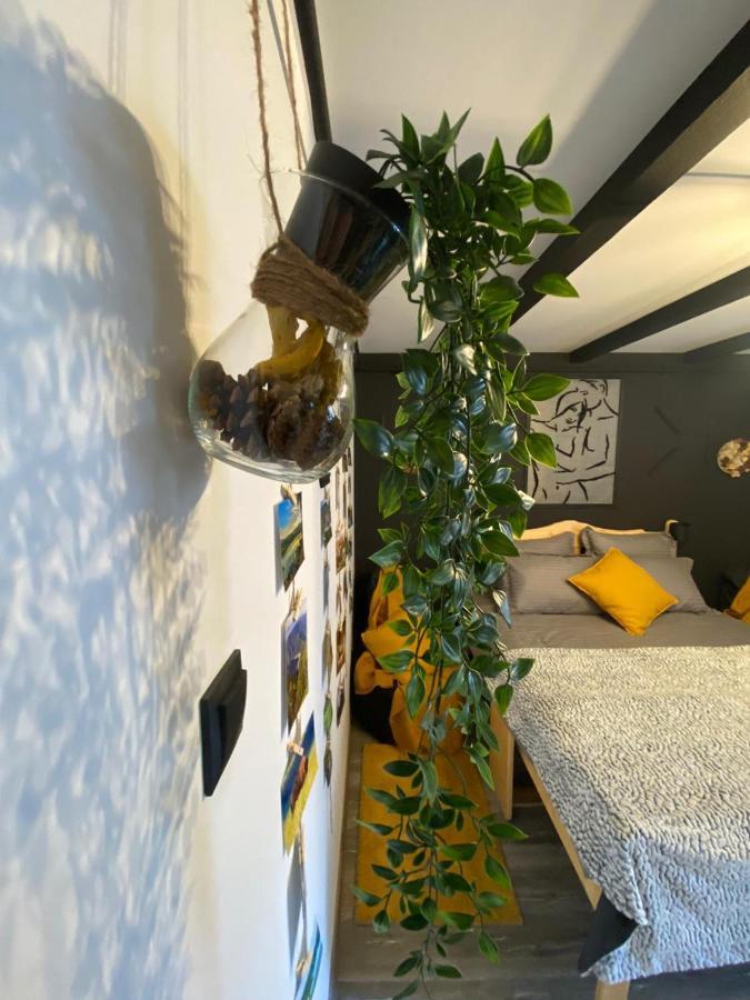 Apartmán Night Lotus Hunedoara Exteriér fotografie