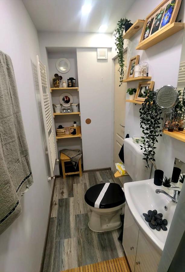 Apartmán Night Lotus Hunedoara Exteriér fotografie